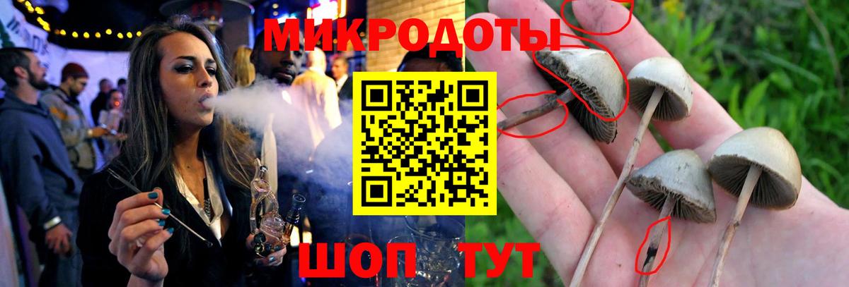 Псилоцибиновые грибы мухоморы Шелехов