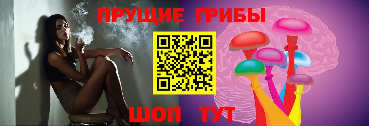 Галлюциногенные грибы Psilocybe  Вход с VPN  Шелехов 